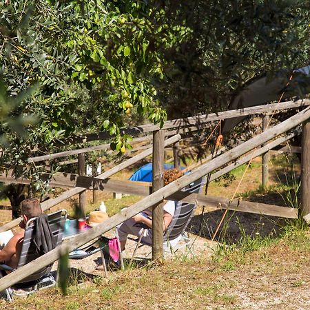 Blucamp Natural Village كامبيليا ماريتيما المظهر الخارجي الصورة