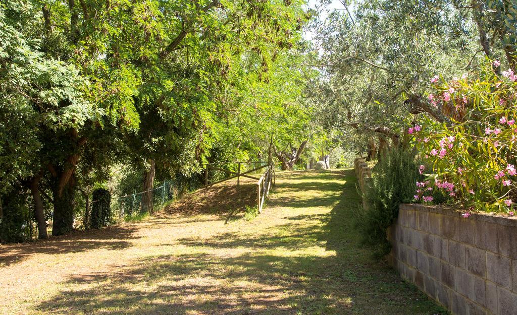 Blucamp Natural Village كامبيليا ماريتيما المظهر الخارجي الصورة